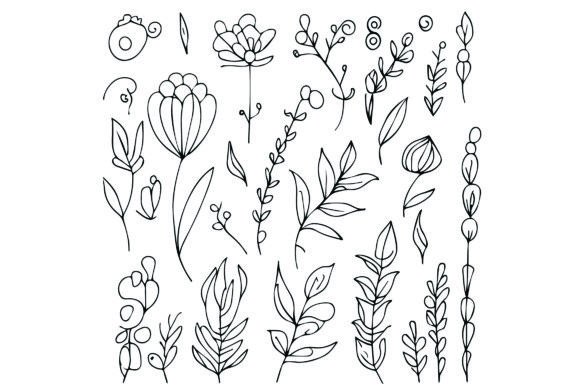 Download Simple Botanical Flower Drawings - Botanical flower drawings Collection